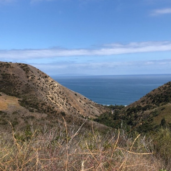 Meet your Posher, Jess - Picture 1 of 1